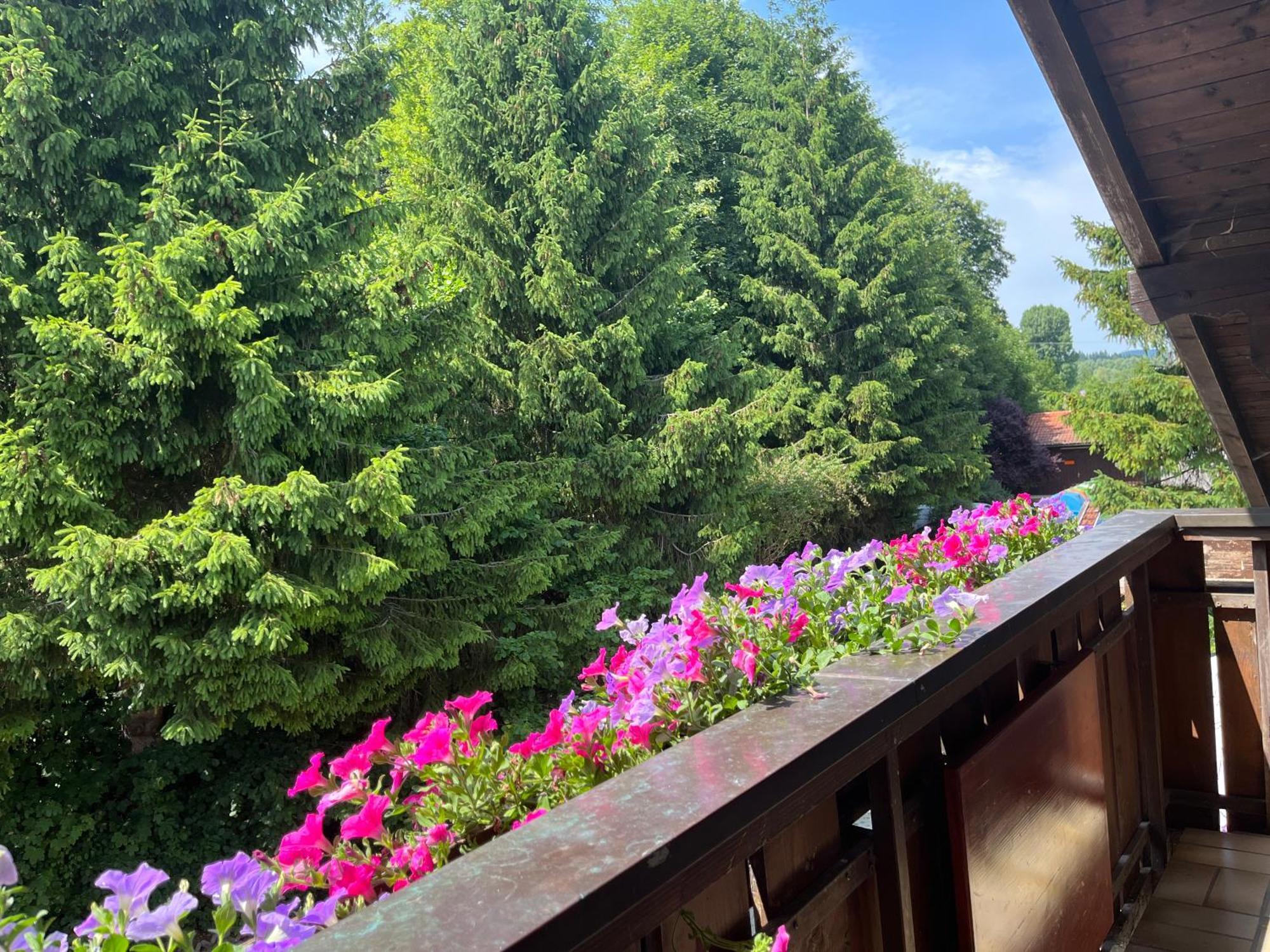 Gaestehaus Forggensee Füssen Εξωτερικό φωτογραφία